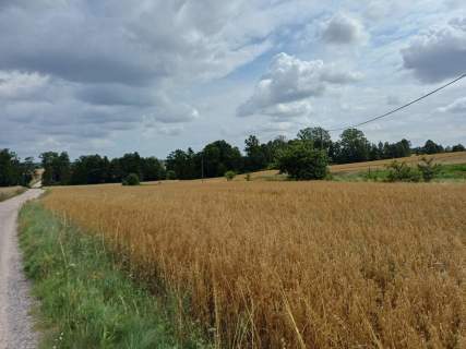 Działki budowlane w Żukowie