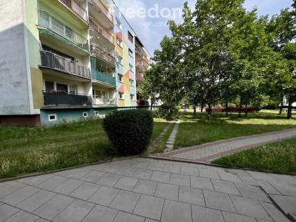 1 piętro, duża loggia i kuchnia Olechów