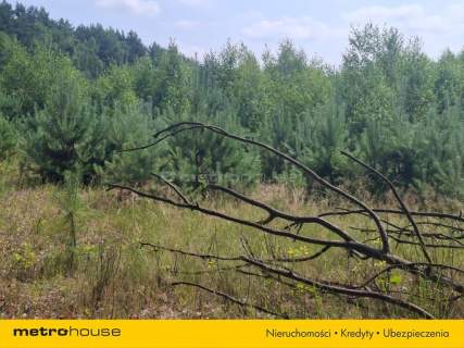 Działka 2,8ha w Dolinie Baryczy Wilkowo