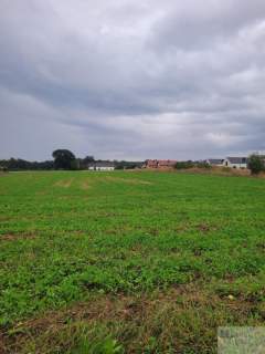 Katowice - Podlesie - Pod Lasem