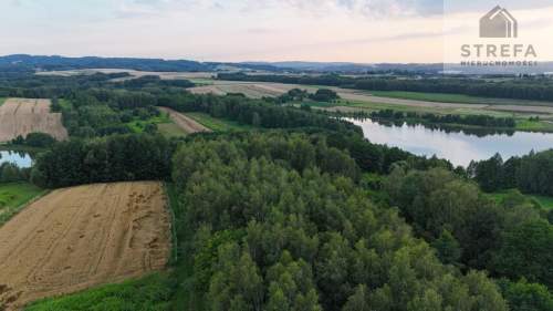 Działka 55,04 ara bezpośrednio przy Zalewie Skrzyszowskim - pod...