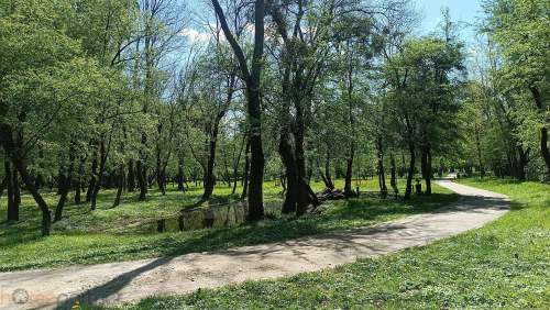 MIESZKANIE Z BALKONEM PRZY PARKU