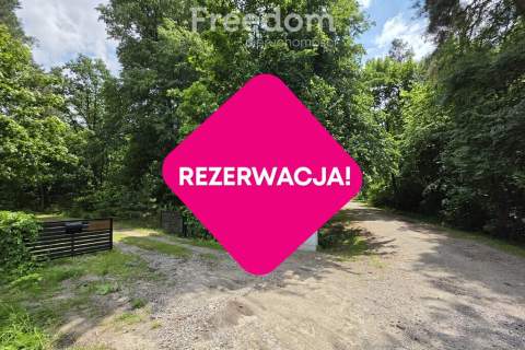 Działka budowlana z własnym lasem 5804 m Hola