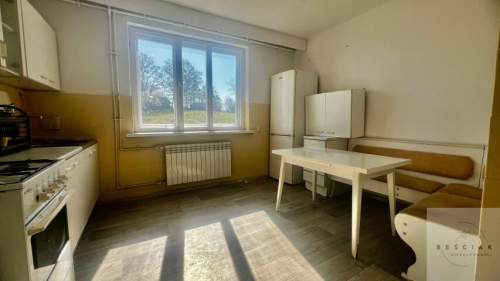 50 arów i budynek z częścią warsztatową i możliwością adaptac