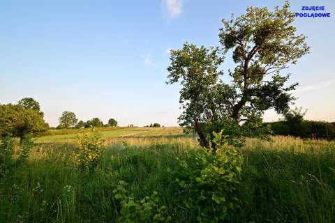 Piotrowice - działka 20 arów w doskonałej cenie 
