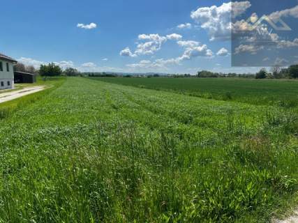 Duża działka blisko Tarnowa, gm. Wierzchosławice