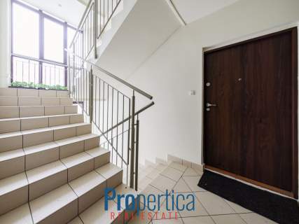 3 pokoje Wspólna Balkon Zielony widok