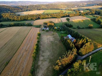 Dom, staw i prawie 2,5ha w gminie Bukowsko
