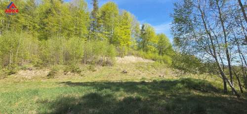 Tutaj wypoczniesz Widok, las, dojazd i prąd