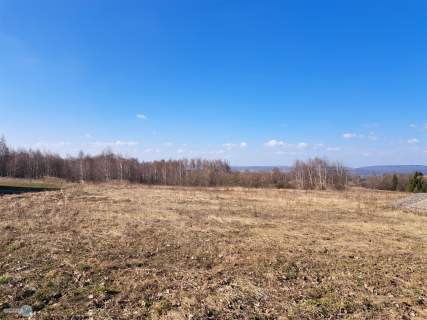 Widokowa działka - stadnina koni, agroturystyka