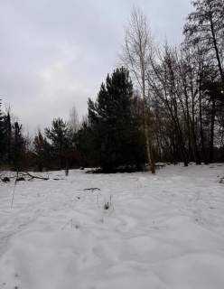 Syndyk sprzeda działki budowlane nad jeziorem w Brodnicy
