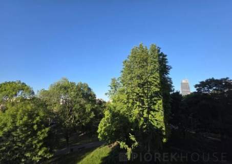 3-pokojowe mieszkanie na Woli