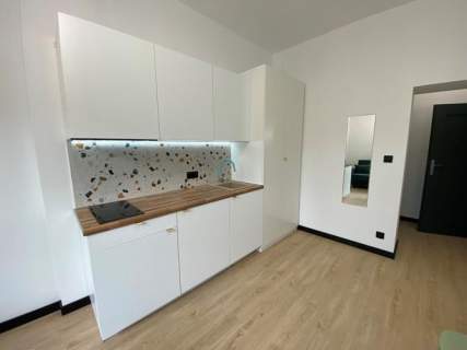 Studio obok Parku Wilsona - Strusia 11