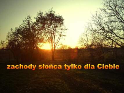 Dom 200 m od Dworcowej w Koninie, 2 garaże, pod usługi, duża...