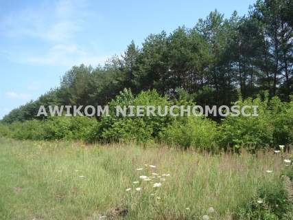 Działka siedliskowa na sprzedaż, 12900 m2, Many