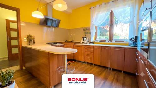 Pół bliźniaka w Puszczy Bukowej