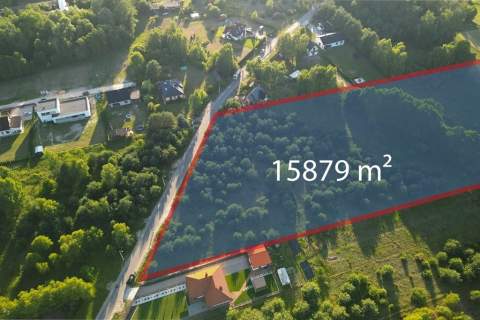 Duża działka 1,5 ha pod dom lub stadninę Jadwinin