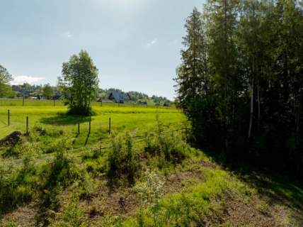 Działka przy ul. Wierch Głodowski Bukowina Tatrzańska 1343m2