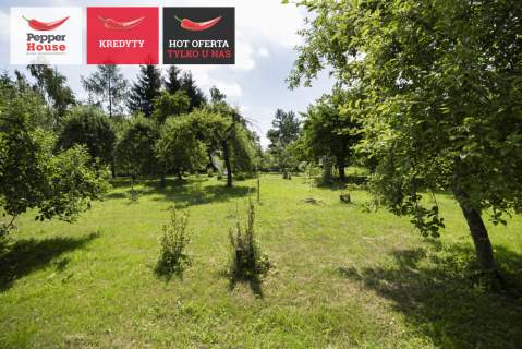 Gospodarstwo z dużym potencjałem 4500m 