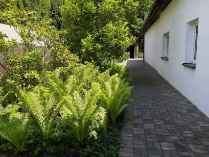 Dom do wynajęcia, 80 m2, Janki