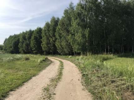 Działki z Warunkami Zabudowy przy lesie Michałki