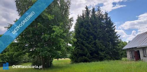 Sprzedam siedlisko 4000 m2 Cisza i spokój, dojazd z Warszawy...