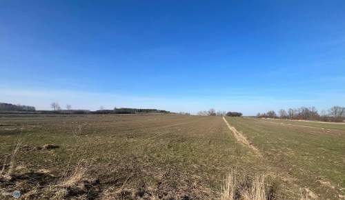Działka rolna z możliwością zabudowy okolice Buska
