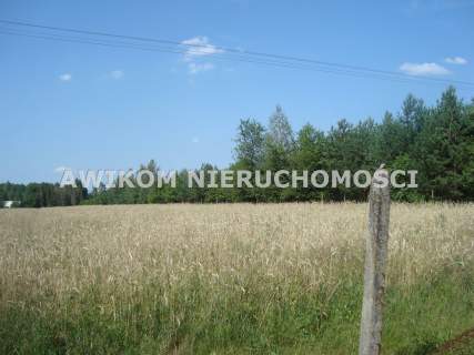 Działka siedliskowa na sprzedaż, 33900 m2, Borowiec