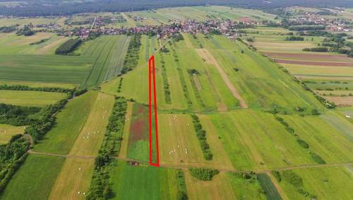 Działka rolna Poręba-Niwki