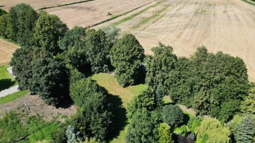 Działka siedliskowa Cedry Małe Gdańsk Trójmiasto