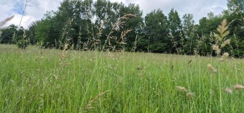 Widokowa działka - odkryj spokój w Beskidach