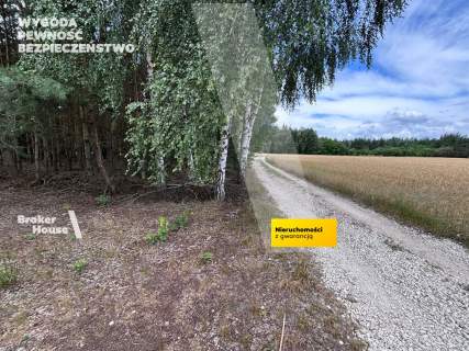 Działka na sprzedaż, 2800 m2, Wiejca
