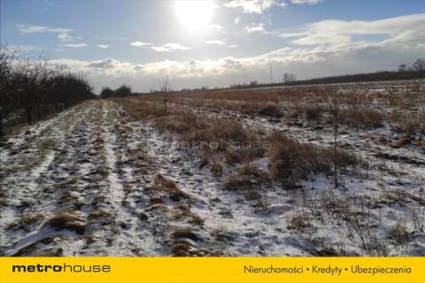 Działka budowlana Kociszew 3000m2 gm. Grójec