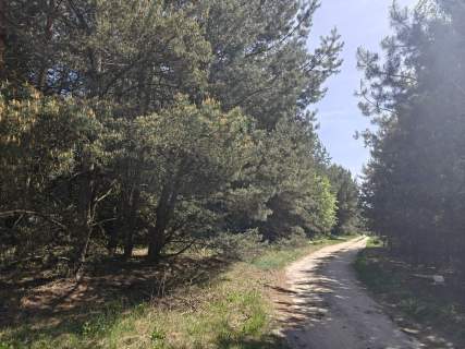 Michałów - urokliwa działka budowlana 5500 m2
