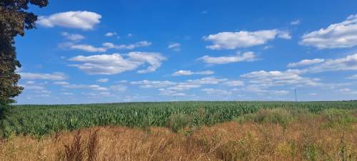 Miłków Kolonia. Piękna działka budowlana 