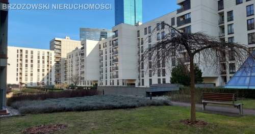 Śródmieście, Muranów, 39 m2, 1 pokój, 2010 m2