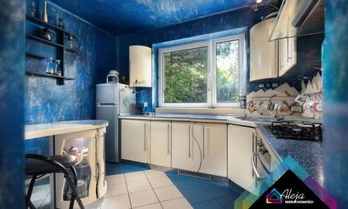Oryginalny dom ze stawem i lasem ok 6300m2 działki