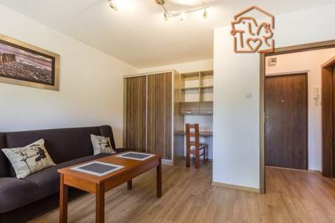 Duża kawalerka pet-friendly - Ksawerów 23