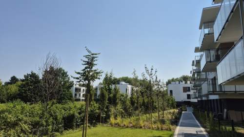 Kawalerka Ursynów Mokotów - niska zabudowa, zieleń