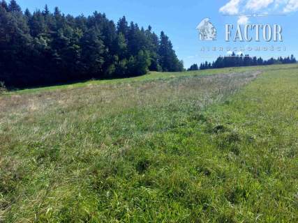 Kąclowa działka rolna 0,6 ha 1103S