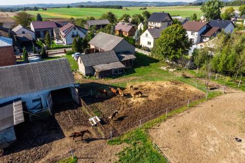 Lgota Wolbromska Gospodarstwo Rolne Stadnina
