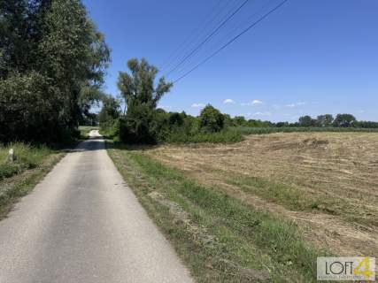 Duża powierzchnia i perspektywa zabudowy
