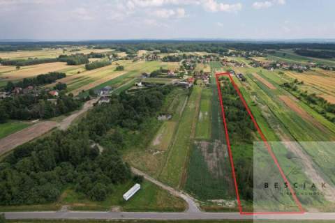 Na sprzedaż działka o powierzchni 1,44 ha - Zaczarnie, gm. Lisia...