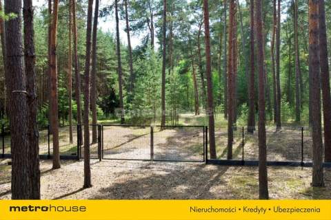 3,12 ha z pozwoleniem na budowę domu
