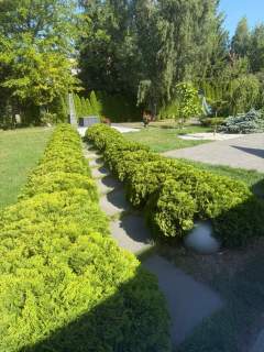 Dom w Okszowie 3 km od Chełma