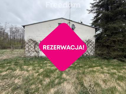 Siedlisko w Stajęczynach na dużej działce