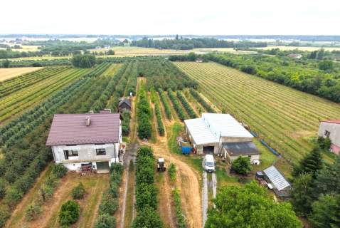 Dom 280 m2 z dochodowym sadem i chłodniami