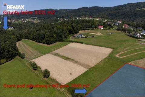 Prywatny las 3331 m2 - Twoja przestrzeń w naturze