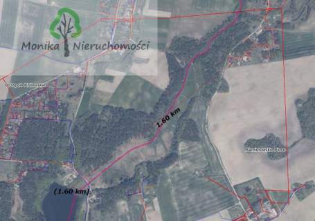Działka budowlana w otoczeniu lasu, blisko jeziora