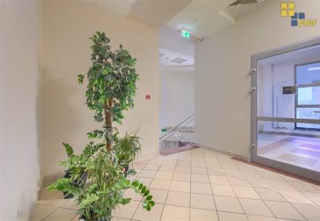 Lokal w centum handlowym w Estakadzie 55 m2